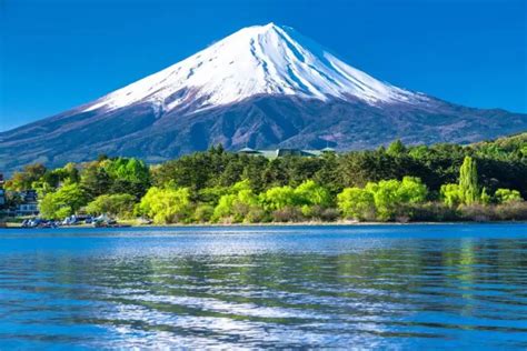 Fuji no Koe (The Sound of Mount Fuji) Zarif Bir Çizim Tekniği ve Doğanın Uyumlu Betimlemesi!