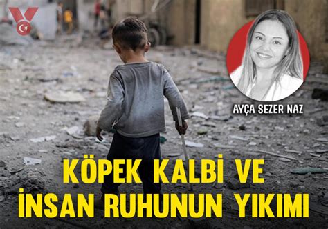  Güneşin Gözlerinin İnsan Ruhunun Yansıması: Karmaşıklık ve Gizem!