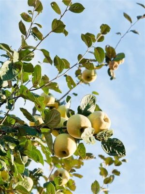  Quince Orchard: Dokunaklı Bir Sonbahar Manzarası ve Hüzünlü Bir Yolculuk