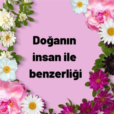 Tuzlu Bahçende İnsan ve Doğanın Zarif Birleşimi mi? Nedendir Bilmiyorum!